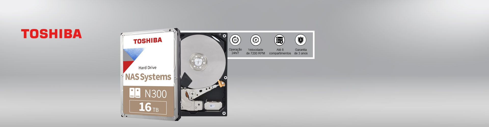 HD NAS N300