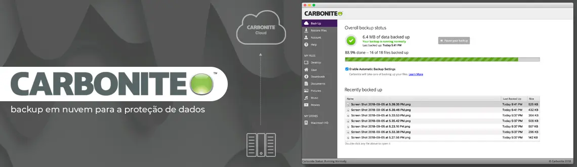 Carbonite: Um serviço de backup em nuvem para a proteção de dados