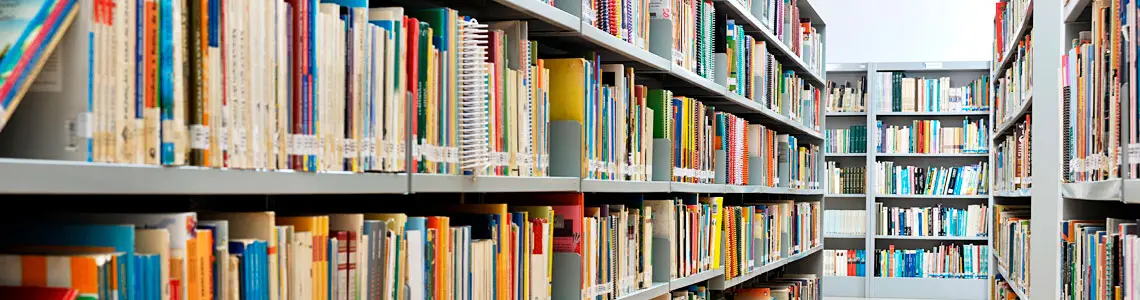 Como Câmeras de segurança podem beneficiar Bibliotecas Públicas