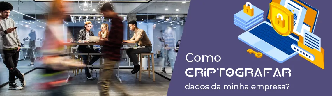 Como criptografar os dados importantes da minha empresa?