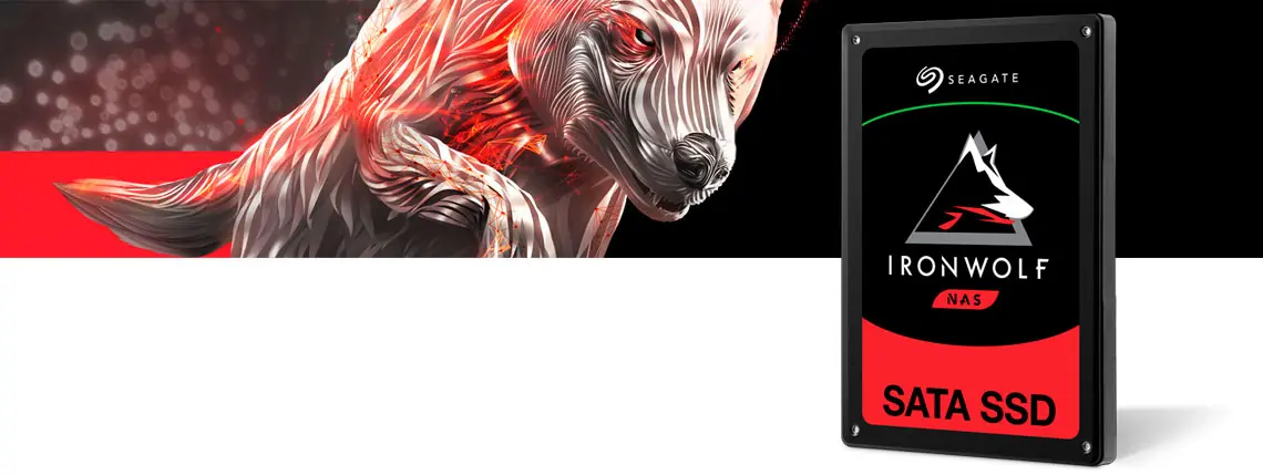 SSD Seagate Ironwolf NAS