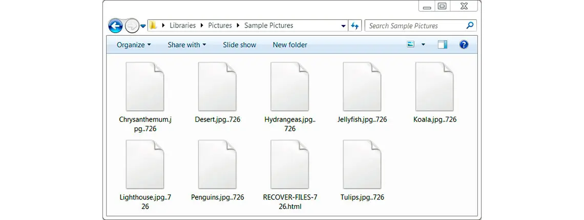 Pasta de computador com vários arquivos com nomes alterados e extensões diferenciadas