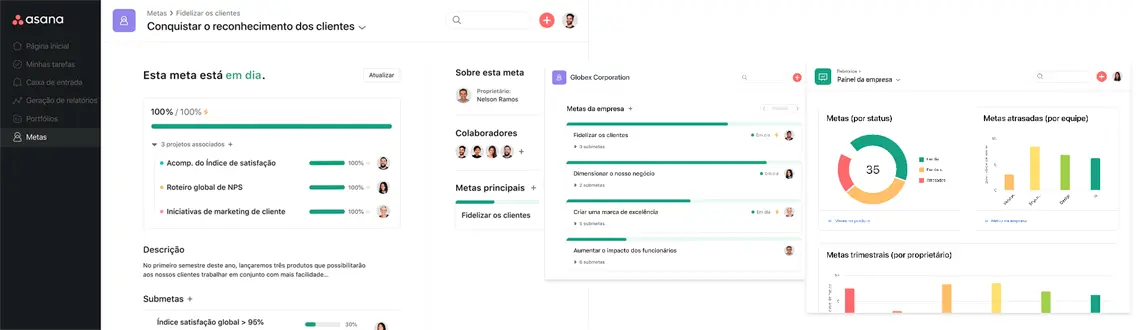 Quais são as principais características do Asana Enterprise?