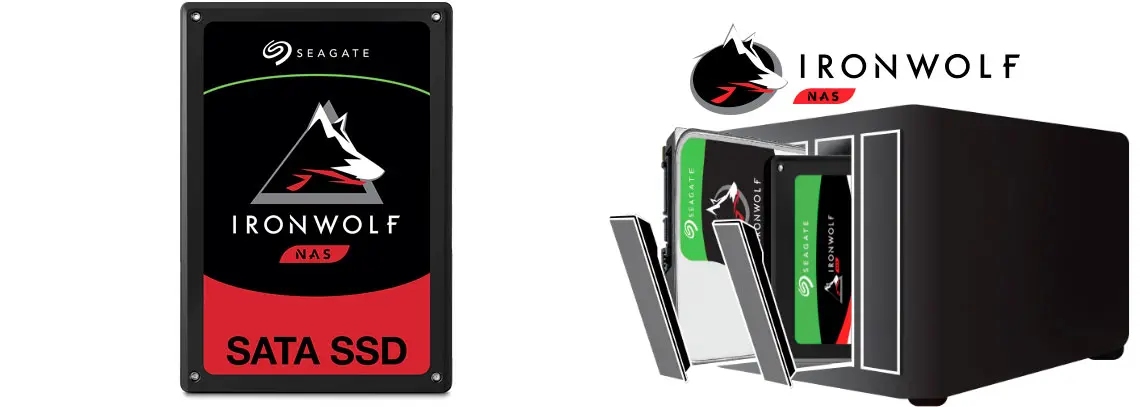 SSD Seagate Ironwolf 110