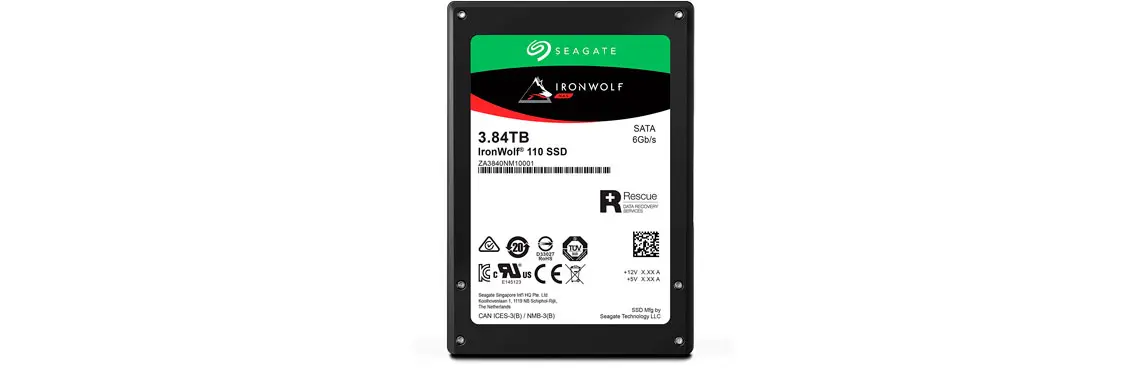 SSD SATA, Ironwolf 110 3.84TB