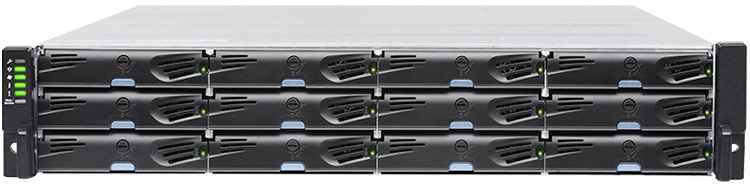 ESDS 1012R Gen2 - Storage iSCSI/FC/SAS 12 baias