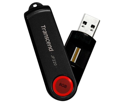 PEN-DRIVE 8GB C/FINGERPRINT
