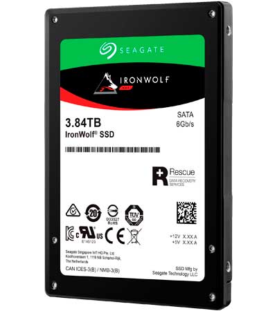 IronWolf 110 3.84TB - Seagate SSD NAS ZA3840NM10001 SATA 6Gb/s