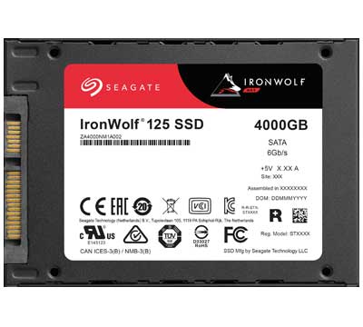 IronWolf 125 4TB - Seagate ZA4000NM1A002 SSD NAS SATA 6Gb/s