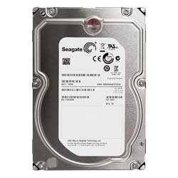 Seagate ST31000528AS - HD interno 1TB 7200 RPM SATA II