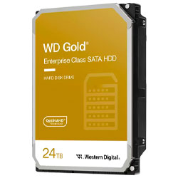 WD241KRYZ WD HD Interno 24TB Gold