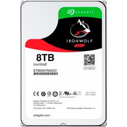 ST8000VN0022 HD Interno 8TB IronWolf
