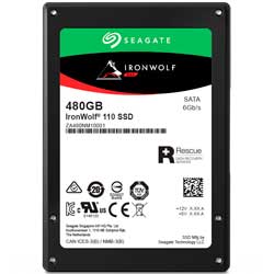 SSD IronWolf 110 480GB - Seagate ZA480NM10001