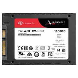 IronWolf 125 1TB - Seagate ZA1000NM1A002 SSD NAS SATA 6Gb/s