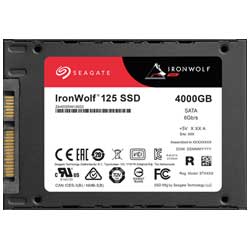 SSD IronWolf 125 4TB - Seagate ZA4000NM1A002