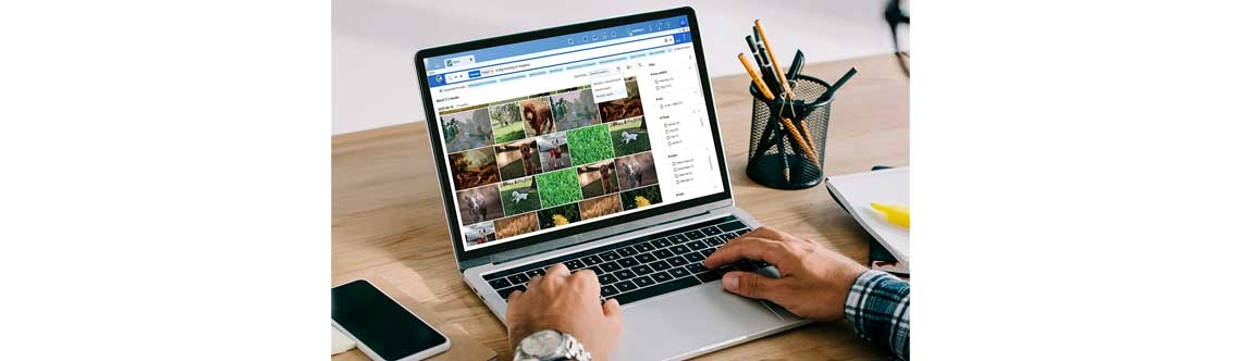 Busca de arquivos com inteligência artificial