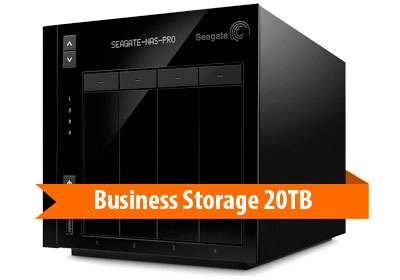 Business Storage STDE20000100 Seagate