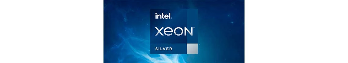 Um NAS com dois processadores Intel Xeon Silver