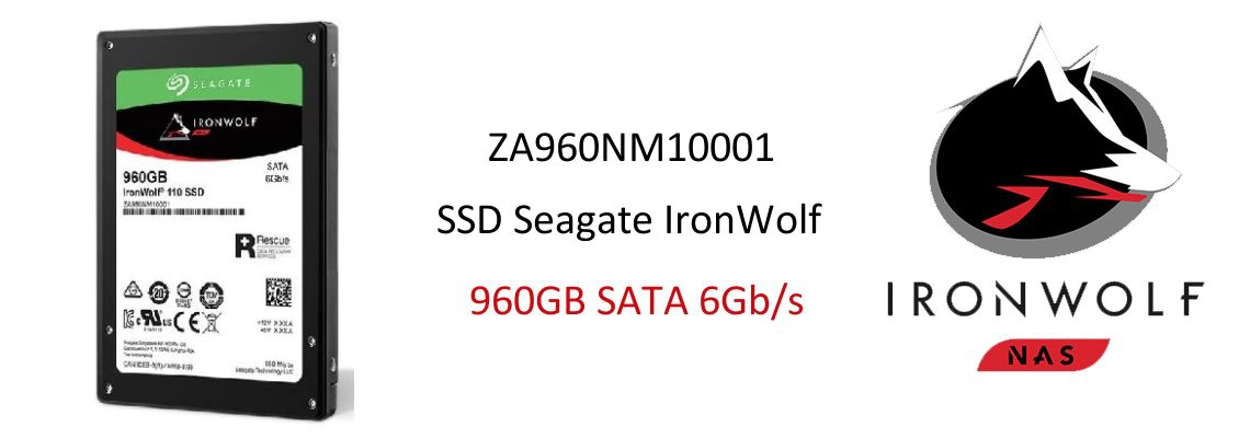 Seagate ZA960NM10001 SSD IronWolf 110 960GB SATA