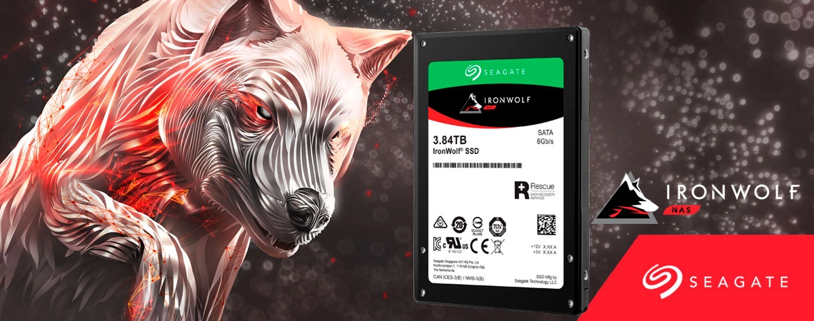 ZA3840NM10001 Seagate, SSD NAS 3.84TB